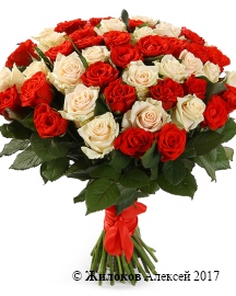 ����� 51 ���� ����