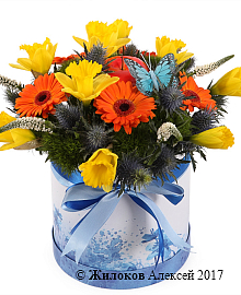 ����� ����� ������� � ������� �������