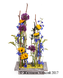 ���������� ���������� �� ������