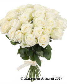 ����� 31 ���� ������� 60/70 ��