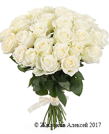 ����� 31 ���� ������� 60/70 ��