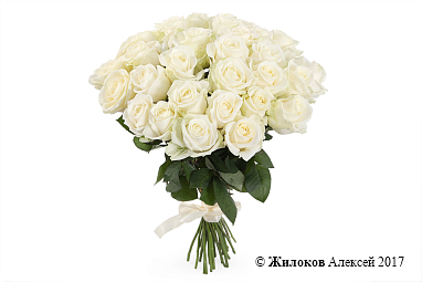 ����� 31 ���� ������� 60/70 ��