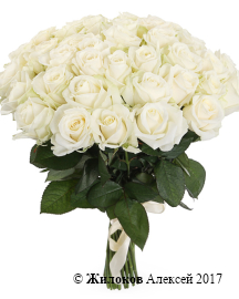 ����� 41 ���� ������� 60/70 ��