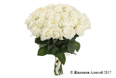 ����� 41 ���� ������� 60/70 ��