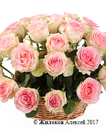 ����� 35 ��� �������� � �������