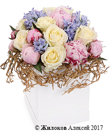 ����� � ������� ������� �������� � ������� �������