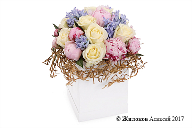 ����� � ������� ������� �������� � ������� �������