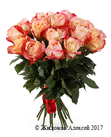 ����� 25 ��� ������