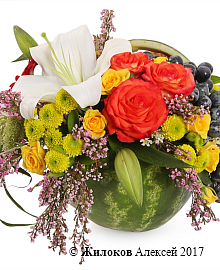 ����� �������� �������