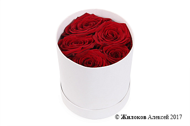 ����� 5 ��� � ������� �������