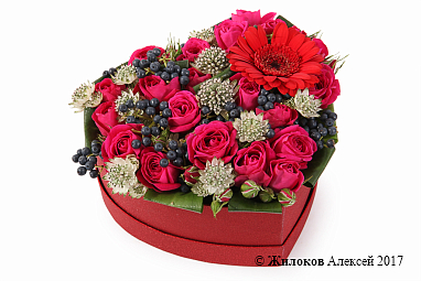 ����� ��� � ����� � ������� ������� ������