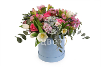 ����� ���� �������� � ������� �������