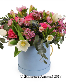 ����� ���� �������� � ������� �������