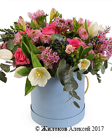 ����� ���� �������� � ������� �������