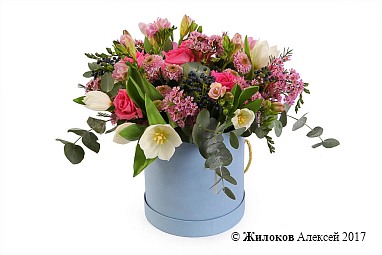 ����� ���� �������� � ������� �������