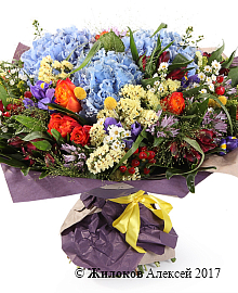 ����� ������ �����