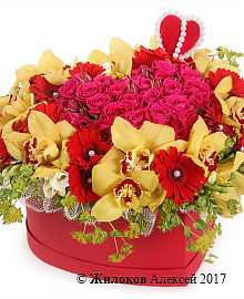 ����� ������ ������ � ������� ������� ������