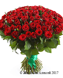 ����� �������� ���, 101 ����