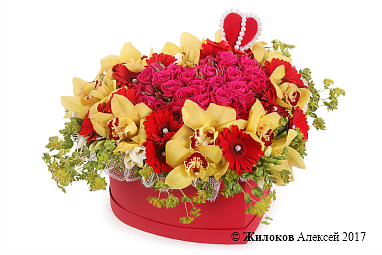 ����� ������ ������ � ������� ������� ������