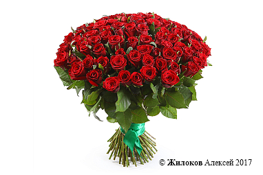 ����� �������� ���, 101 ����