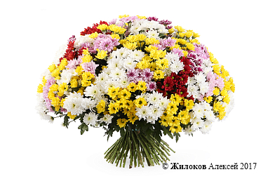 ����� 101 ���������� �������