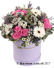 ����� �������� ������� � ������� �������