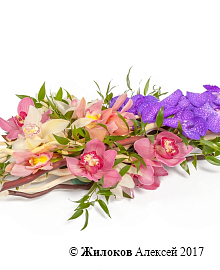 ���������� ������ ����