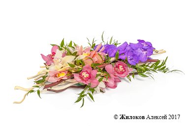 ���������� ������ ����