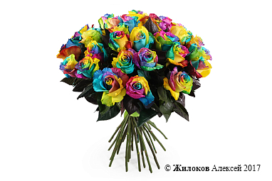 ����� 35 �������� ���