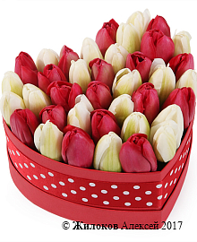 ���������� �������� ����������� � ������� ������� ������ (����), ������-�����