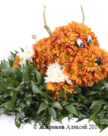 ���������� �����