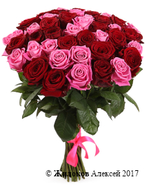 ����� ������� � ��������, 51 ����