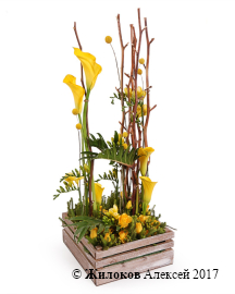 ���������� ������� ����