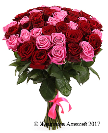 ����� ������� � ��������, 51 ����