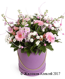 ����� ������ ����� � ������� �������