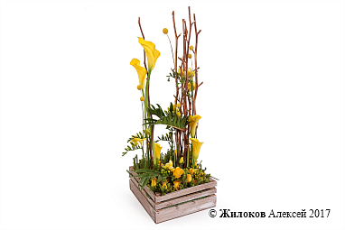 ���������� ������� ����