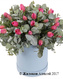 ����� �������� � ������� �������