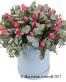 ����� �������� � ������� �������