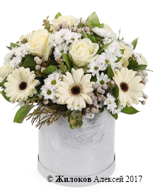 ����� ���� � ������� �������