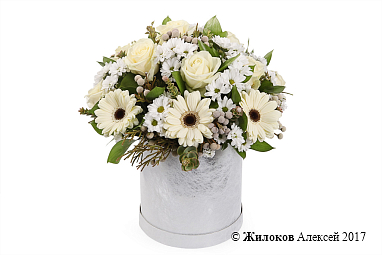 ����� ���� � ������� �������