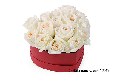 ����� ������ ����� � ������� ������� ������ (����)