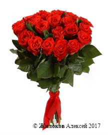 ����� 21 ������� ����, 50 ��