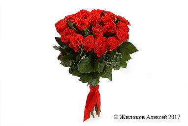 ����� 21 ������� ����, 50 ��