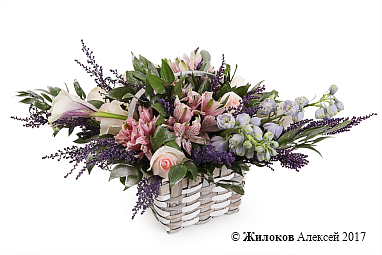 ����� ������ ���� � �������