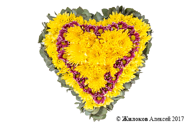 ����� ������� ������