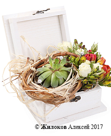 ���������� ��������� ����