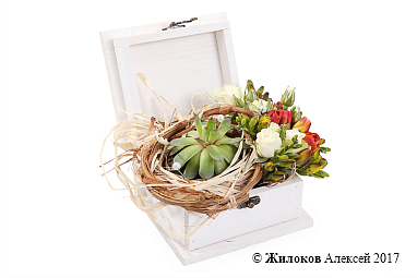 ���������� ��������� ����