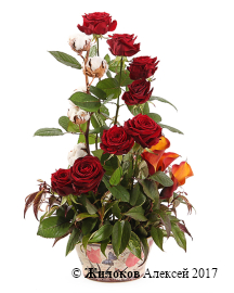 ����� �������� ����