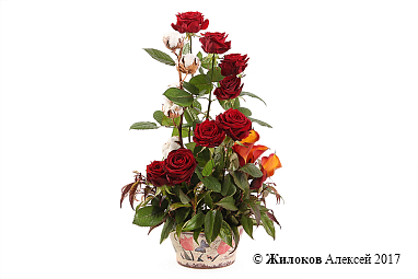 ����� �������� ����