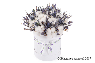 ����� � �������� ������ ������� � ������� �������